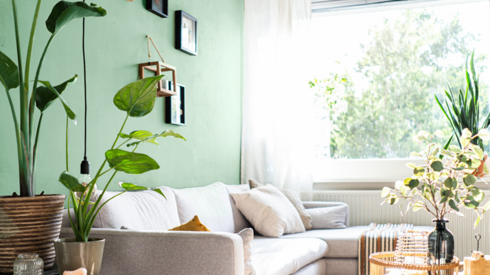 Evinde Feng Shui Mucizesi! Daha Huzurlu ve Dengeli Bir Alan Yarat 🏡✨
