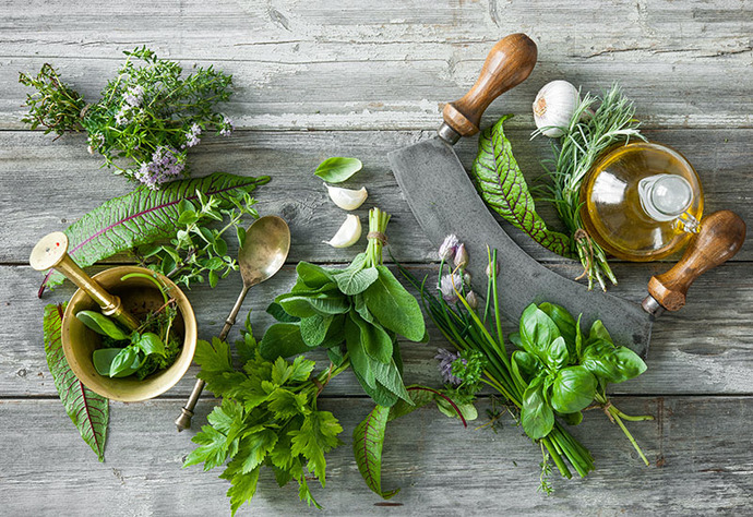 Evini Yeşillendir! Hangi Bitki Hangi Odaya Daha Uygun? 🌿✨