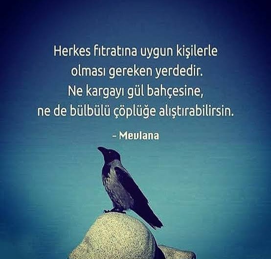 Ağırbaşlılık: Sessiz Gücün ve Gerçek Olgunluğun Yansıması