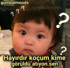 😂😂😂😂