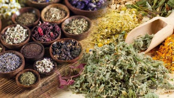 Şifalı Bitkiler: Doğadaki Gizli Eczane! 🌿✨