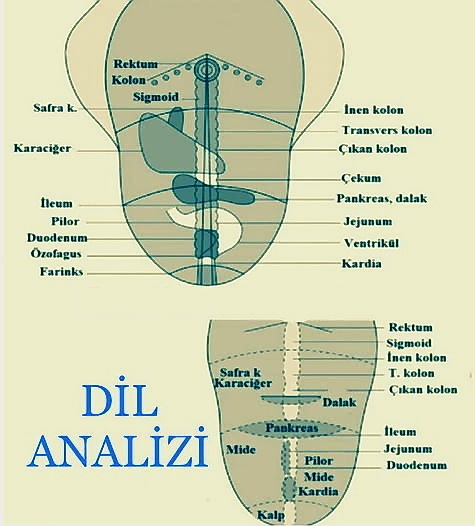 Senin Dilin Sağlığın Hakkında Ne Söylüyor Biliyor musun?