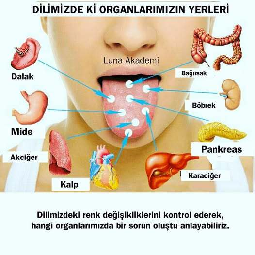 Senin Dilin Sağlığın Hakkında Ne Söylüyor Biliyor musun?