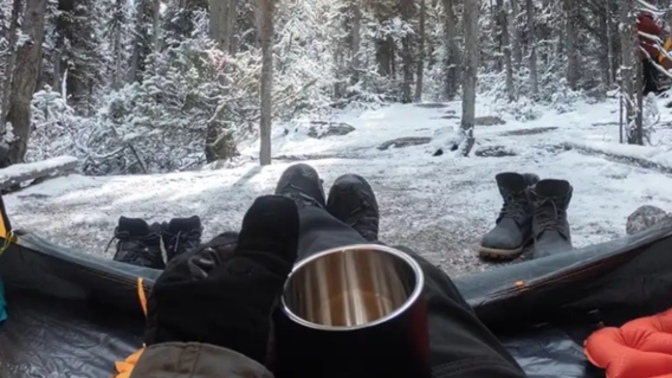 Kampçılık Hakkında Her Şey!