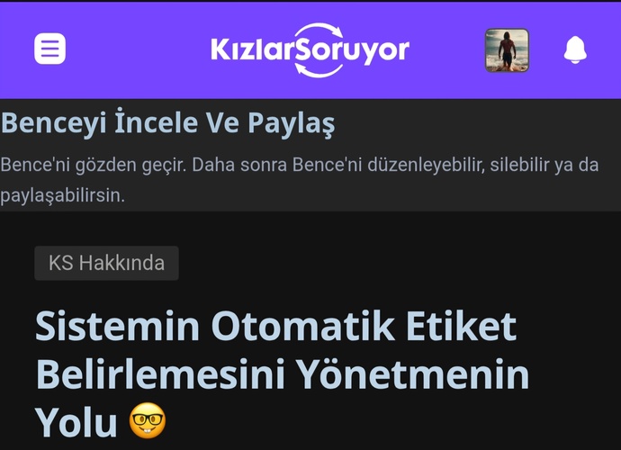 Sistemin Otomatik Etiket Belirlemesini Yönetmenin Yolu! 🤓