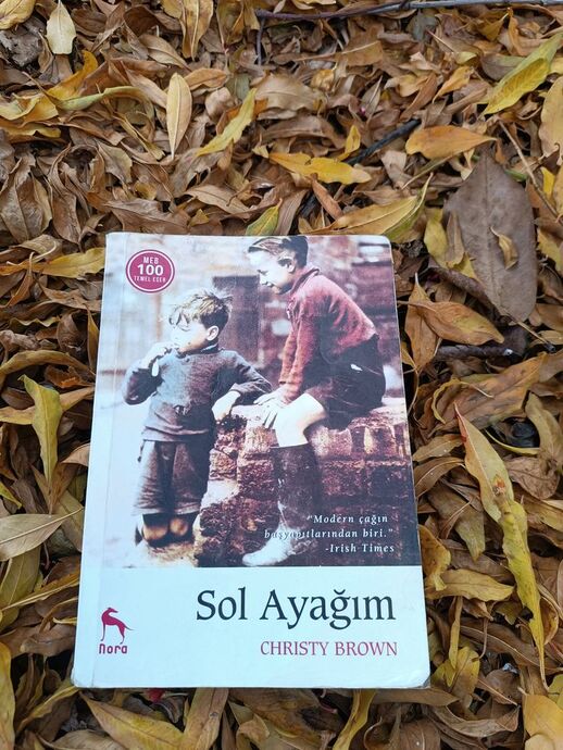 Plajda Kitap Sevenlere: Sürükleyici 5 Yaz Romanı 📚