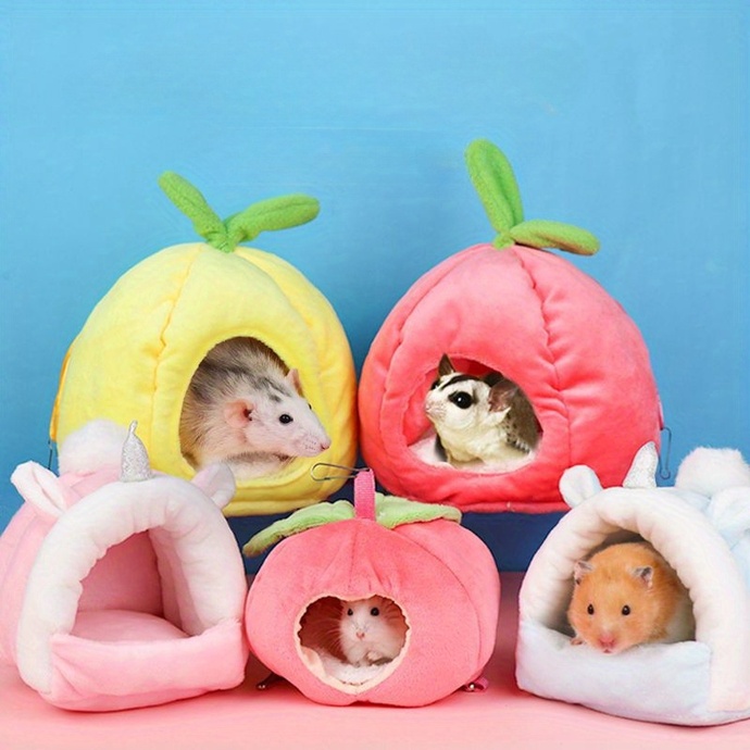 Hamster Sahiplenme Rehberi̇: Yanlış Bi̇li̇nenler Ve Mutluluk Formüller