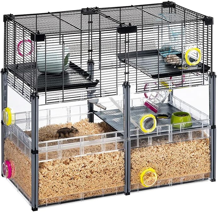Hamster Sahiplenme Rehberi̇: Yanlış Bi̇li̇nenler Ve Mutluluk Formüller