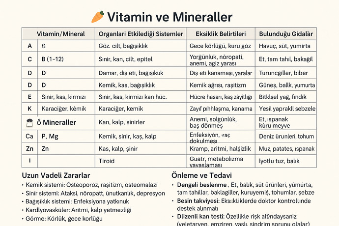 İnsan Vücudunda Bulunan Vitaminler ve Mineraller Nelerdir, Nasıl Bir Fayda Sağlarlar?