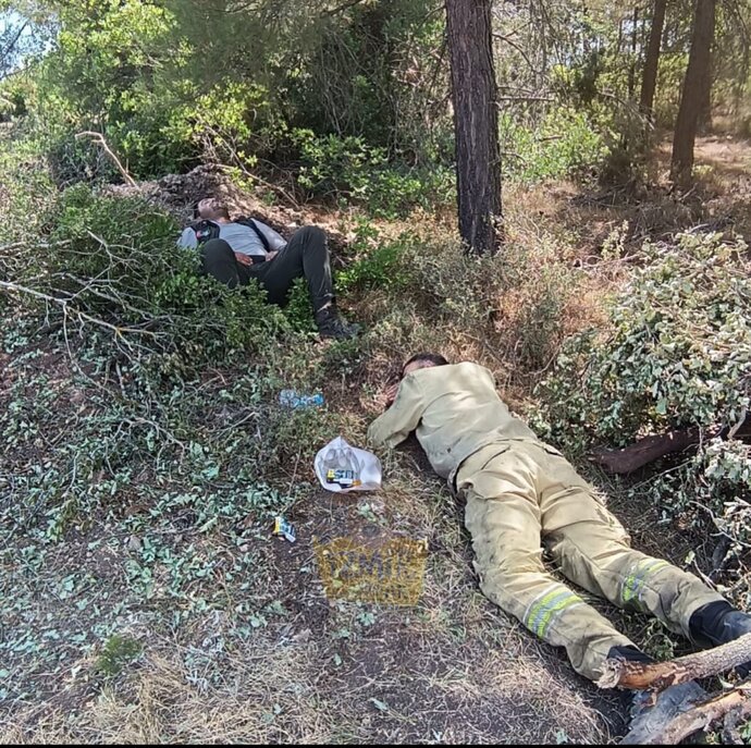 Dağlarında Çiçekler Açmaz Oldu: İzmir’in Yangın Çığlığı! :(