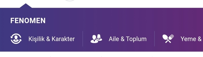 KızlarSoruyor fenomen