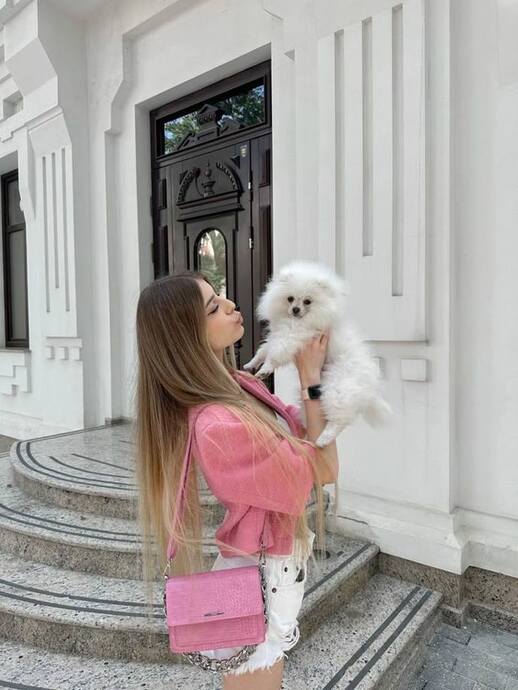🐾 Evcil Hayvan Sahibi Olmak Nedir? Her Gün Yanında Olan Minik Bir Sevgi Kaynağıdır 💛