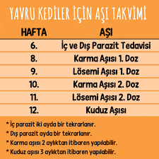 Kedi Aşı Takvimi