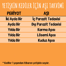 Kedi Aşı Takvimi