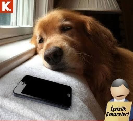 Cinsellikle İlgili Bilmeniz Gereken Gerçekler, Mağdurluk Nedir?