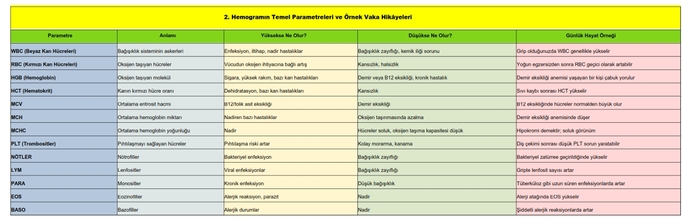Hemogram (Tam Kan Sayımı) Vücudun Gizli Hikâyesini Anlatan Testler