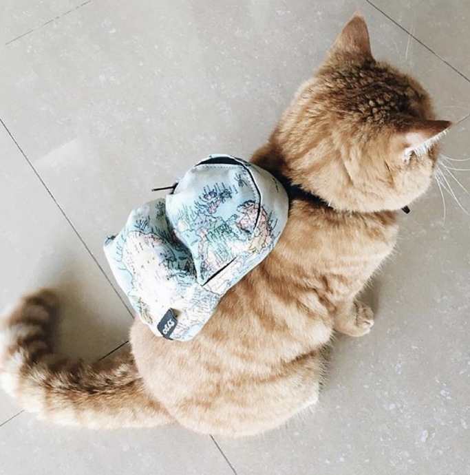 🎒Tatil Bitti, Şehir Modu Açıldı! Sepetimde Ne Var, Ne Yok?