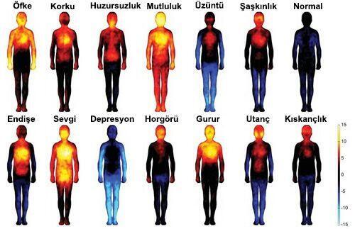 Sizle konuşurken hangi duygulara sahip oluyor acaba?
