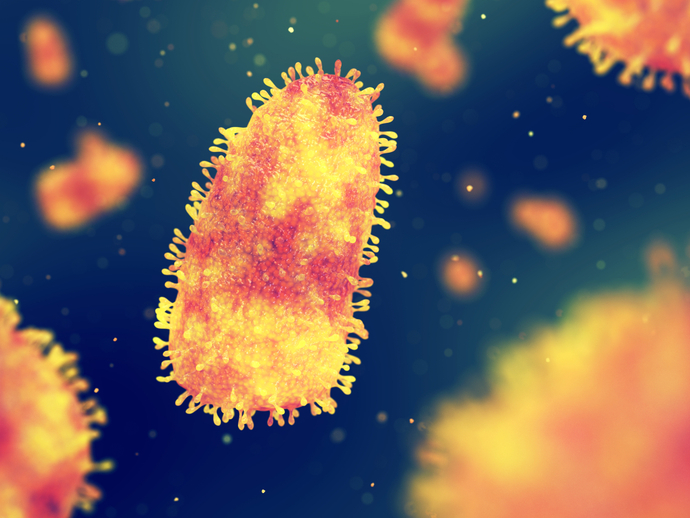 Kuduz Etkeni olan Rhabdo Virus