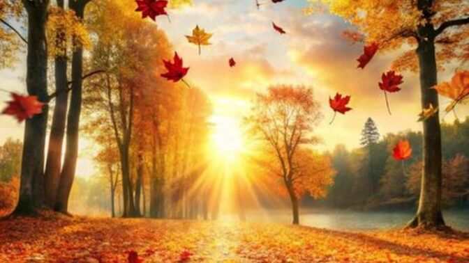 🍁 Sonbahar Ruh Hali: Dökülen Yapraklar Gibi, Fazlalıkları Bırakma Zamanı 🍂