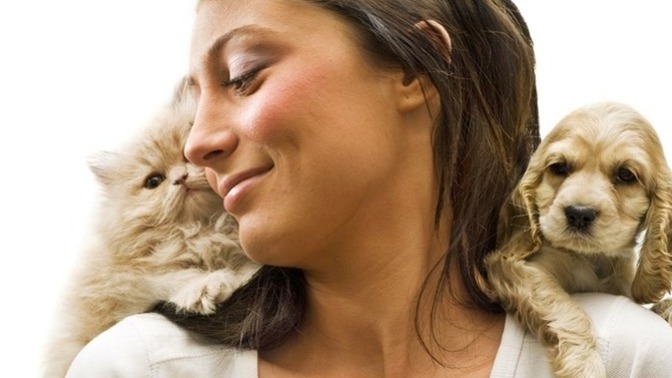 Evcil Hayvanlarınızın Davranışlarını Anlamak ve Onların Diliyle Konuşmak
