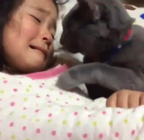 Kediler Hakkında Bilmeniz Gereken Her Şey: Sevimliden Çok Daha Fazlası! 🐈