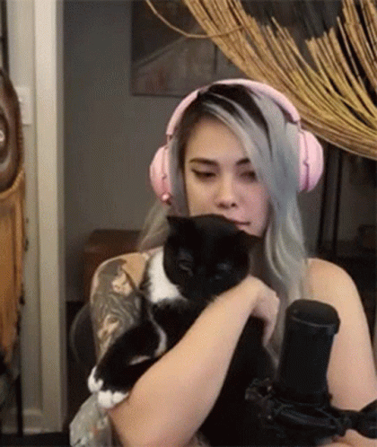 Kediler Hakkında Bilmeniz Gereken Her Şey: Sevimliden Çok Daha Fazlası! 🐈