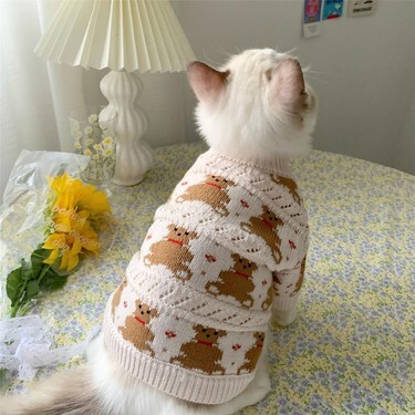 Kedi Yeleği Deneyimim: İlk Gün Dram & Kaos, İkinci Gün Açılın Pist Benden Sorulur!