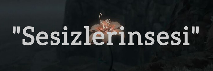 Sessizlerin Sesi Olalım, Birbirimize Kulak Verelim!