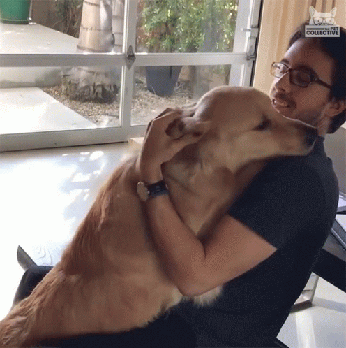 Köpeklerle Yaşam: Sadece Bir Evcil Hayvan Değil, Bir Dostluk Hikayesi ❤️