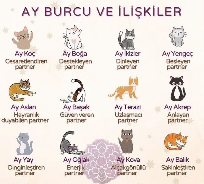 Burçlarla İlgili Çarpıcı Gerçekler Nelerdir?