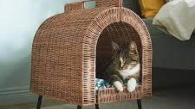 Sevgili Dostumuz Kediler İçin Alınması Gereken Temel Eşyalar