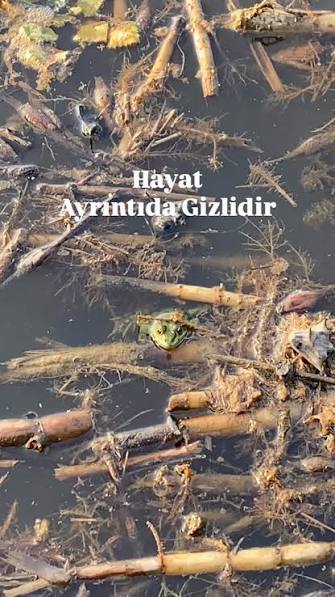 Gözümüzü Tek Noktaya Dikerken Kaybettiklerimiz
