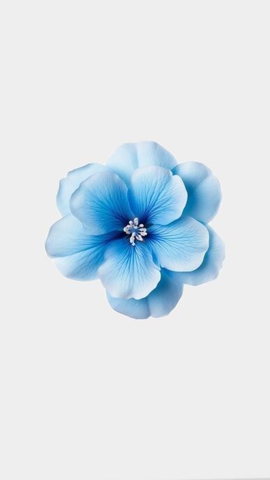 💙Özel Günler & Hijyen Kuralları💙