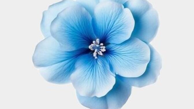 💙Özel Günler & Hijyen Kuralları💙