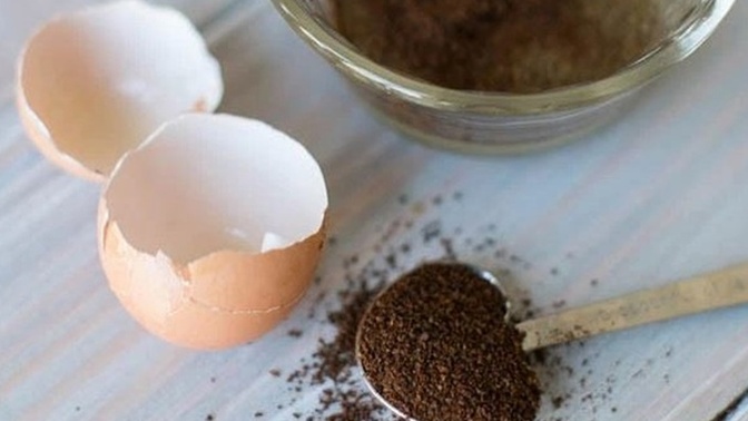 Ev Yapımı Maske! Kimyasal İçermeyen Maske Nasıl Yapılır?