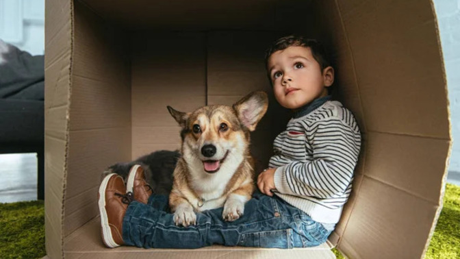 Doktorlar Bunu Reçeteye Yazmıyor Ama: Çocuğa En Iyi Ilaç Hayvan Dostlar!
