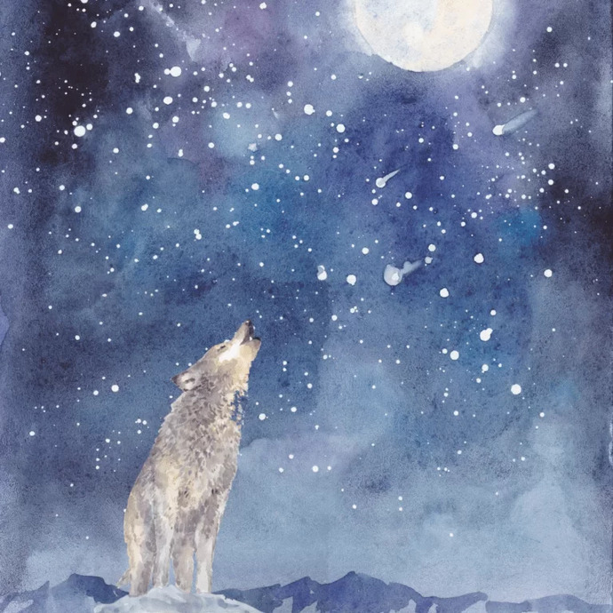Tüm Kişilik ve Karakter Özellikleri İle Kurdun Ruhsal Yapısı 🐺🐺🐺🐺🐺!