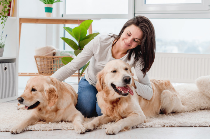 Kedi mi, Köpek mi Sahiplensem Diye Kararsız Kalanlar İçin 5 Kritik İpucu!