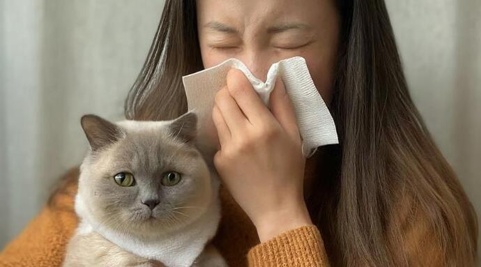 Kedi mi, Köpek mi Sahiplensem Diye Kararsız Kalanlar İçin 5 Kritik İpucu!