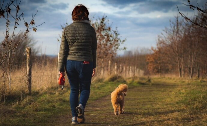 Sevgilim Yok Ama Patileri Var: 14 Şubat’ı Kedi ve Köpeğinizle Kutlama Rehberi