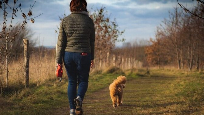 Sevgilim Yok Ama Patileri Var: 14 Şubat’ı Kedi ve Köpeğinizle Kutlama Rehberi