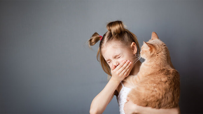 Kedi̇lere Allerji̇m Var Ama Onlari Sahi̇plenmeyi̇ çok İsti̇yorum  Di̇yenlere Müjdeli̇ Haber
