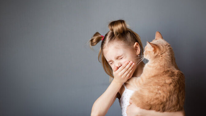 Kedi̇lere Allerji̇m Var Ama Onlari Sahi̇plenmeyi̇ çok İsti̇yorum " Di̇yenlere Müjdeli̇ Haber