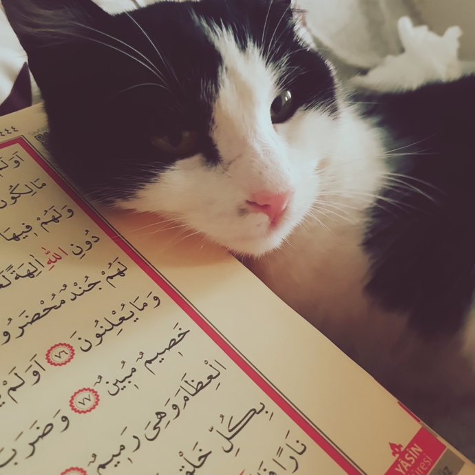 Kur’an’la Kalbim Nasıl Dirildi? Günlük Hayatta Bir Sayfa Kur’an Okumanın Mucizesi