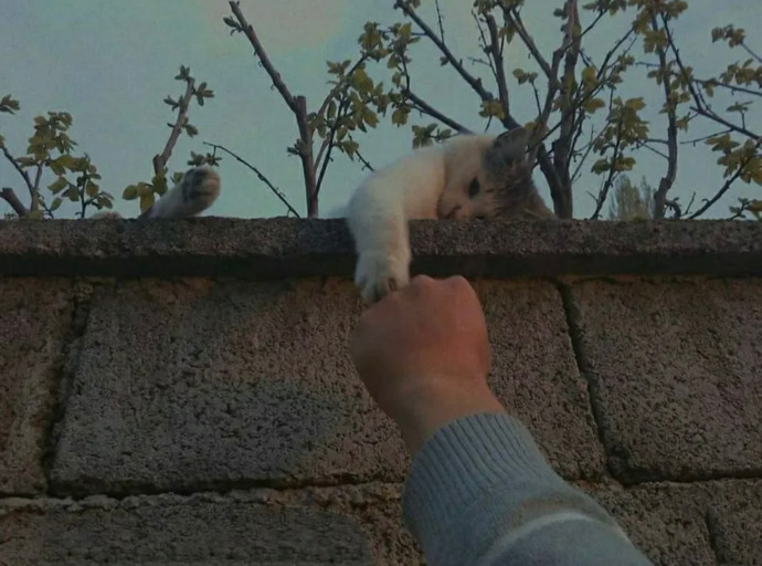 Her şakaya Gülünür Mü? “Şaka Yaptım” Gerçekten Masum Bir Cümle Midir?
