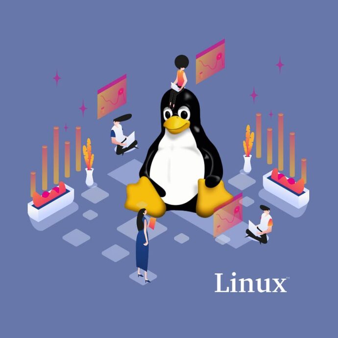 linux