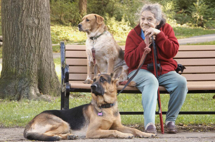 Depresyondaki Köpeğiniz Sizinle Konuşuyor Olabilir!