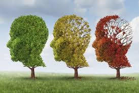 Alzheimer, kangren, yatalak kalma