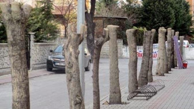 Eli Hızarlı Seri Katillerle Ülkemizin Park ve Bahçe Anlayışı..
